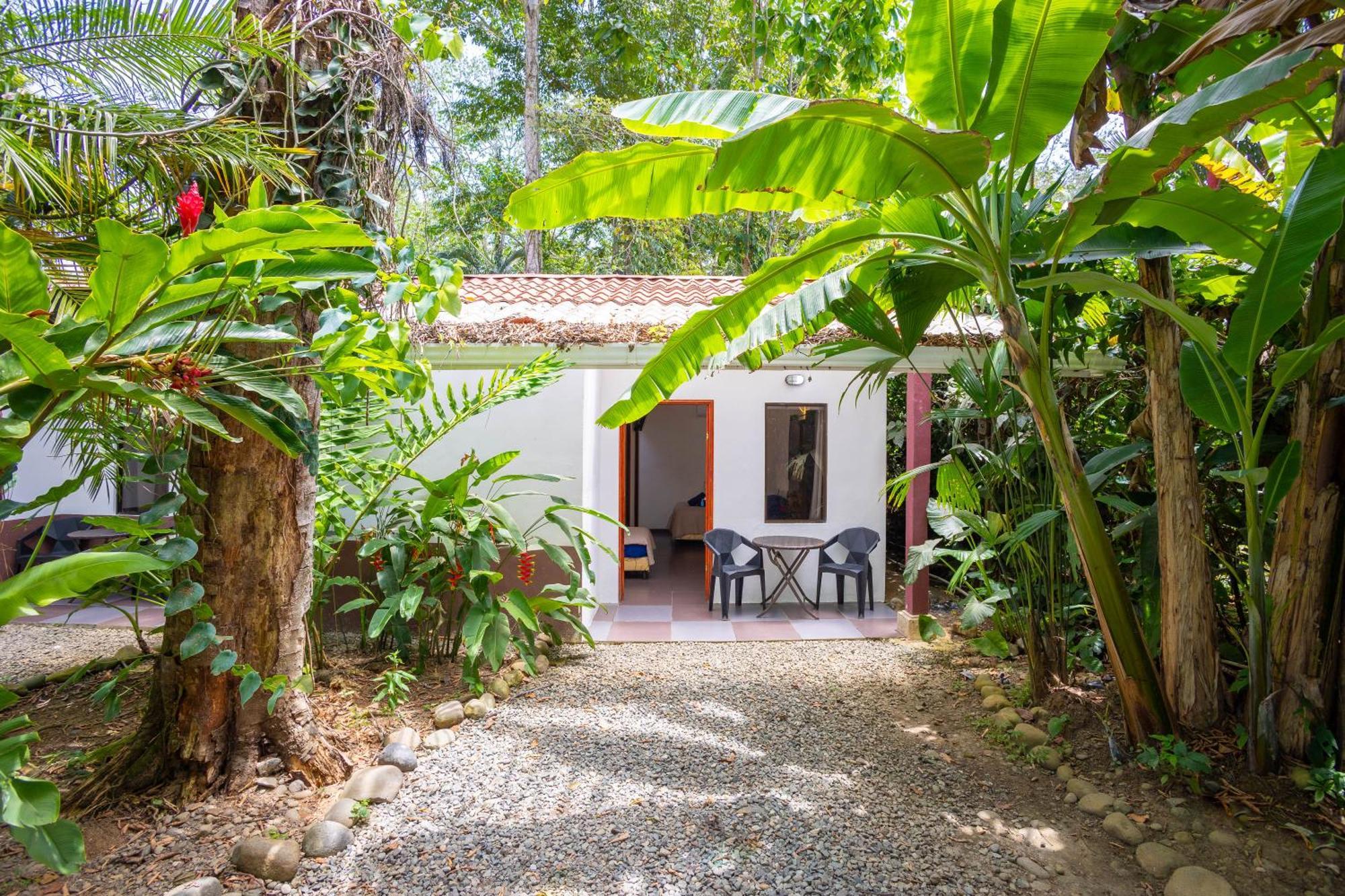 Hotel Bambutel Cocles Puerto Viejo de Talamanca Exteriér fotografie